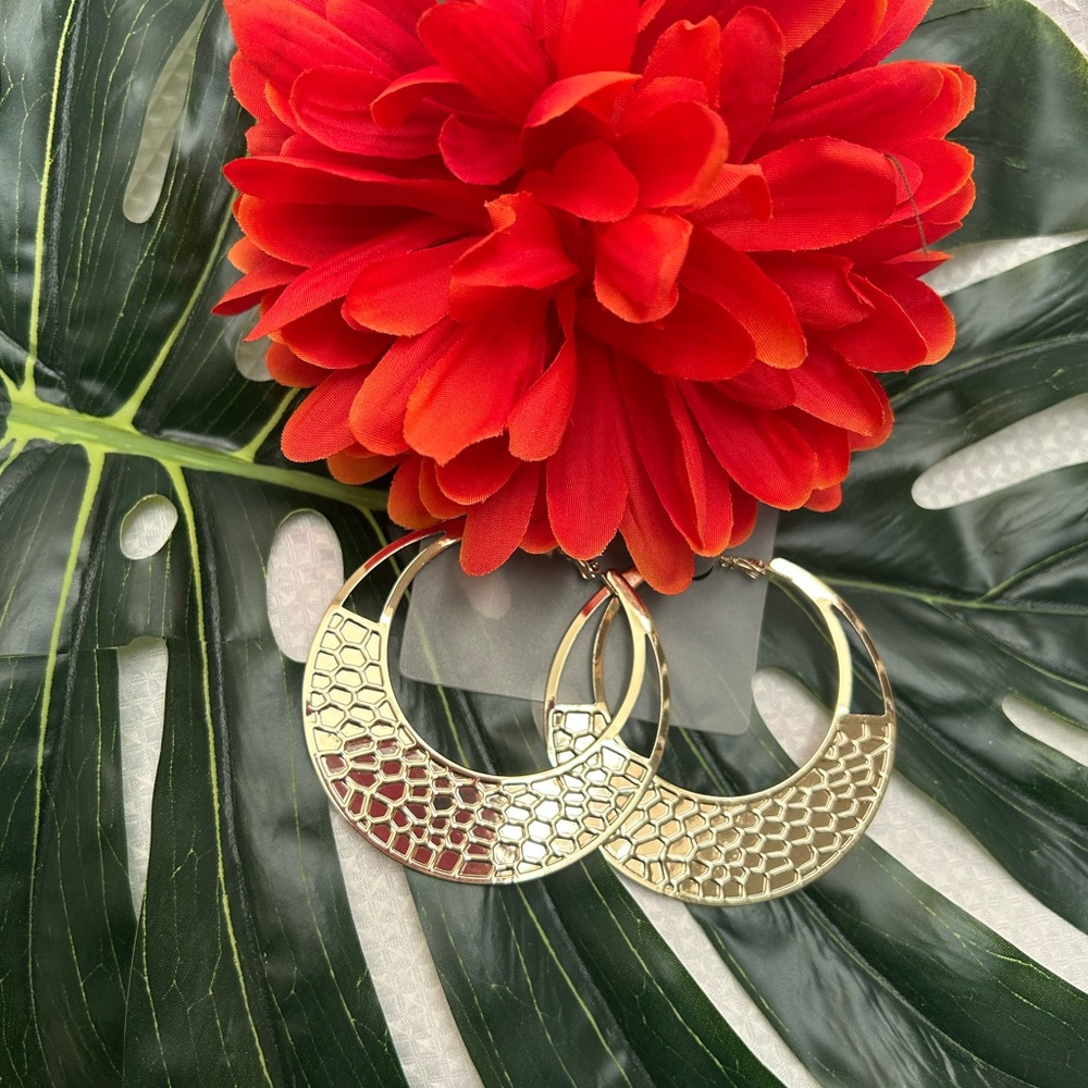 ❣️New Fashion Gold Hoop Earrings